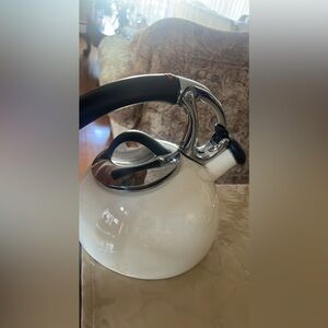 Stainless steel and enamel tea kettle with black handle